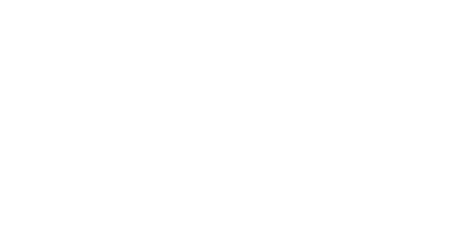 PCIP Logo Horizontal White